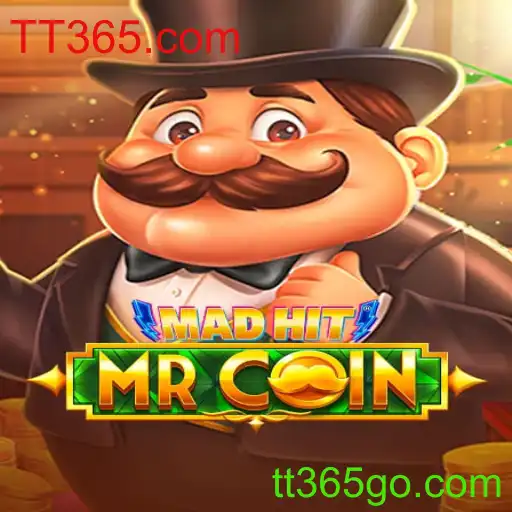 Uma Imersão no Universo de MadHitMrCoin
